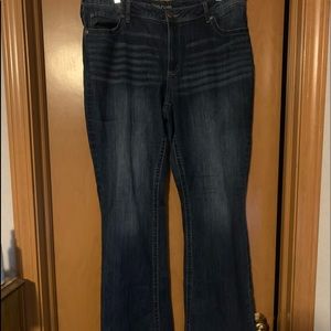Maurices bootcut jeans